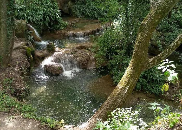 Alliance 호텔 플로브디프